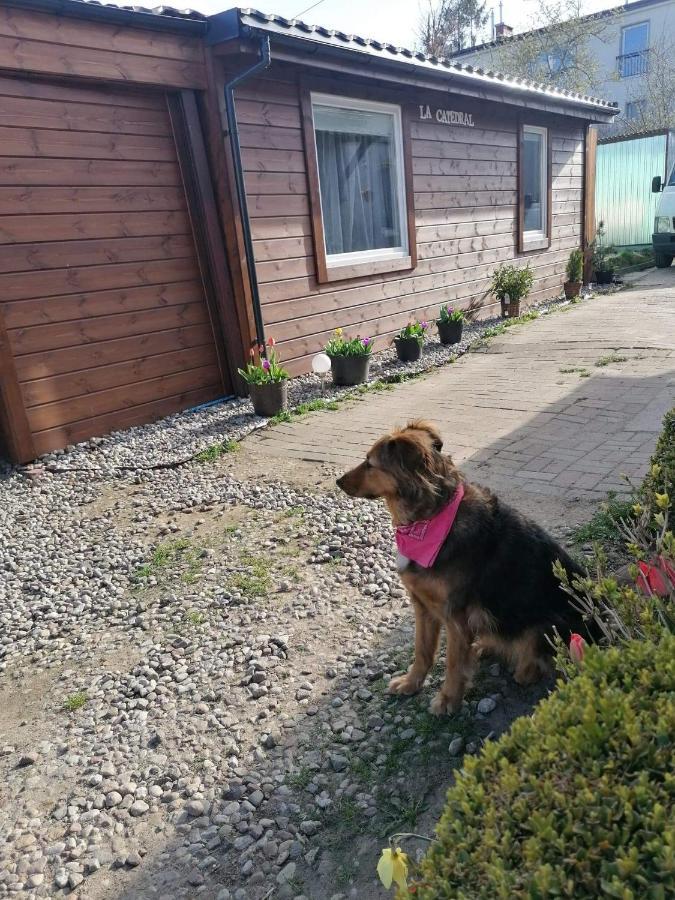Domek Letni Gdynia Dış mekan fotoğraf